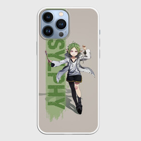 Чехол для iPhone 13 Pro Max с принтом Sylphy в Новосибирске,  |  | Тематика изображения на принте: anime | mushoku tensei | авантюристы | аниме | анимэ | безработный | гислен | драма | другой мир | лилия | луффи | маги | магия | мигурдиа | неко | реинкарнация безработного | реинкорнация | рокси | рудеус | руди