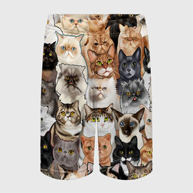 Детские спортивные шорты 3D с принтом Котики смешные в Новосибирске,  100% полиэстер
 | пояс оформлен широкой мягкой резинкой, ткань тянется
 | cat | cats | cosmos | kitten | mem | memes | rose | roses | глаза | глазки | еда | киска | космос | кот | котёнок | котик | котики | котэ | котята | кошак | кошка | кошки | красивая | мем | мемчики | милая | прикольная | розы