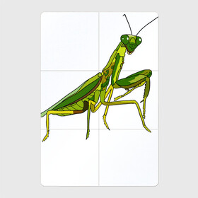 Магнитный плакат 2Х3 с принтом Богомол в Новосибирске, Полимерный материал с магнитным слоем | 6 деталей размером 9*9 см | Тематика изображения на принте: animals | insect | mantis | nature | summer | богомол | весна | дикие | животные | жуки | звери | зеленый богомол | клещни | комары | кузнечики | лапки | лето | мухи | насекомое | природа | самка | стрекоза | существа | усики