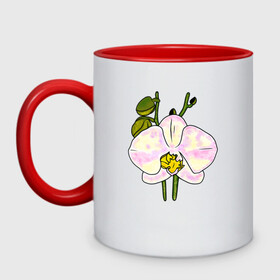 Кружка двухцветная с принтом Орхидея в Новосибирске, керамика | объем — 330 мл, диаметр — 80 мм. Цветная ручка и кайма сверху, в некоторых цветах — вся внутренняя часть | Тематика изображения на принте: exotic | flowers | nature | orchid | phalaenopsis | summer | tropic | арт | бабочки | букет | бутон | весна | джунгли | лепестки | лето | листья | орхидея | подарок | природа | растения | рисунок | сад | тропики | тропические