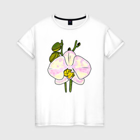 Женская футболка хлопок с принтом Орхидея в Новосибирске, 100% хлопок | прямой крой, круглый вырез горловины, длина до линии бедер, слегка спущенное плечо | exotic | flowers | nature | orchid | phalaenopsis | summer | tropic | арт | бабочки | букет | бутон | весна | джунгли | лепестки | лето | листья | орхидея | подарок | природа | растения | рисунок | сад | тропики | тропические