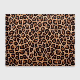 Обложка для студенческого билета с принтом Шкура Леопарда в Новосибирске, натуральная кожа | Размер: 11*8 см; Печать на всей внешней стороне | Тематика изображения на принте: leopard | skin | wool | кожа | леопард
