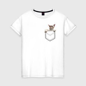 Женская футболка хлопок с принтом Мокрый Кот в Кармане в Новосибирске, 100% хлопок | прямой крой, круглый вырез горловины, длина до линии бедер, слегка спущенное плечо | в кармане | животные | звери | котенок | кошка | лапки | мокрый | прикол