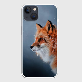 Чехол для iPhone 13 с принтом Лиса в Новосибирске,  |  | fox | foxy | животное | звери | лиса | лисенок | лисичка | милая | рыжая | фокс