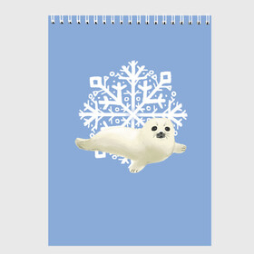 Скетчбук с принтом Беляк в Новосибирске, 100% бумага
 | 48 листов, плотность листов — 100 г/м2, плотность картонной обложки — 250 г/м2. Листы скреплены сверху удобной пружинной спиралью | Тематика изображения на принте: белый | беляк | детёныш | зима | лазурно серый | милота | милый | синий | снег | снежинка | тюлень