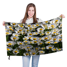 Флаг 3D с принтом Ромашки в Новосибирске, 100% полиэстер | плотность ткани — 95 г/м2, размер — 67 х 109 см. Принт наносится с одной стороны | поле | поля | природа | природный | растение | растения | ромашка | ромашки | цветочек | цветочки | цветочное | цветы