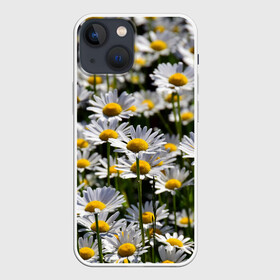 Чехол для iPhone 13 mini с принтом Ромашки в Новосибирске,  |  | поле | поля | природа | природный | растение | растения | ромашка | ромашки | цветочек | цветочки | цветочное | цветы