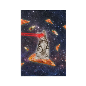 Обложка для паспорта матовая кожа с принтом Котик в космосе в Новосибирске, натуральная матовая кожа | размер 19,3 х 13,7 см; прозрачные пластиковые крепления | nyan cat | youtube | еда | космос | котик | мемы | пицца | психоделика | ютуб
