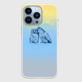 Чехол для iPhone 13 Pro с принтом Совиная нежность в Новосибирске,  |  | 2021 | color2021 | illuminating | pantone | ultimate grey | yellow | желтый | любовь | природа | путешествия | серый | совы