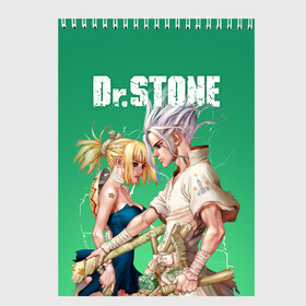 Скетчбук с принтом Dr Stone в Новосибирске, 100% бумага
 | 48 листов, плотность листов — 100 г/м2, плотность картонной обложки — 250 г/м2. Листы скреплены сверху удобной пружинной спиралью | dr. stone | kohaku | senku | taiju | доктор стоун | исигами сэнку | кохаку | сэнку | тайдзю | цукаса