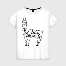 Женская футболка хлопок с принтом no drama llama в Новосибирске, 100% хлопок | прямой крой, круглый вырез горловины, длина до линии бедер, слегка спущенное плечо | llama | альпака | животные | лама