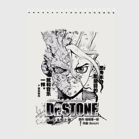 Скетчбук с принтом Dr Stone Senkuu в Новосибирске, 100% бумага
 | 48 листов, плотность листов — 100 г/м2, плотность картонной обложки — 250 г/м2. Листы скреплены сверху удобной пружинной спиралью | dr. stone | kohaku | senku | taiju | доктор стоун | исигами сэнку | кохаку | сэнку | тайдзю | цукаса