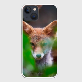 Чехол для iPhone 13 с принтом Лисичка в Новосибирске,  |  | fox | foxy | животное | звери | лиса | лисенок | лисичка | милая | рыжая | фокс