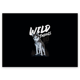 Поздравительная открытка с принтом Wild Things в Новосибирске, 100% бумага | плотность бумаги 280 г/м2, матовая, на обратной стороне линовка и место для марки
 | Тематика изображения на принте: wolf | волк | лес | пес | север | собака | хаски