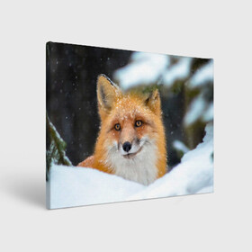Холст прямоугольный с принтом Лисичка на сугробе в Новосибирске, 100% ПВХ |  | fox | foxy | животное | звери | лиса | лисенок | лисичка | милая | рыжая | фокс