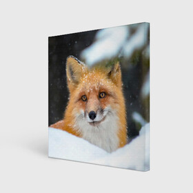 Холст квадратный с принтом Лисичка на сугробе в Новосибирске, 100% ПВХ |  | fox | foxy | животное | звери | лиса | лисенок | лисичка | милая | рыжая | фокс
