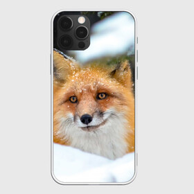 Чехол для iPhone 12 Pro с принтом Лисичка на сугробе в Новосибирске, силикон | область печати: задняя сторона чехла, без боковых панелей | Тематика изображения на принте: fox | foxy | животное | звери | лиса | лисенок | лисичка | милая | рыжая | фокс