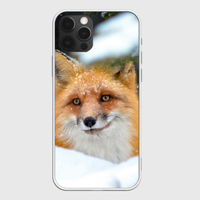 Чехол для iPhone 12 Pro Max с принтом Лисичка на сугробе в Новосибирске, Силикон |  | Тематика изображения на принте: fox | foxy | животное | звери | лиса | лисенок | лисичка | милая | рыжая | фокс