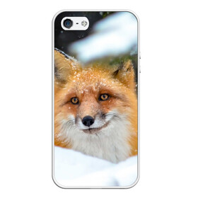 Чехол для iPhone 5/5S матовый с принтом Лисичка на сугробе в Новосибирске, Силикон | Область печати: задняя сторона чехла, без боковых панелей | fox | foxy | животное | звери | лиса | лисенок | лисичка | милая | рыжая | фокс