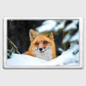 Магнит 45*70 с принтом Лисичка на сугробе в Новосибирске, Пластик | Размер: 78*52 мм; Размер печати: 70*45 | fox | foxy | животное | звери | лиса | лисенок | лисичка | милая | рыжая | фокс