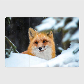 Магнитный плакат 3Х2 с принтом Лисичка на сугробе в Новосибирске, Полимерный материал с магнитным слоем | 6 деталей размером 9*9 см | Тематика изображения на принте: fox | foxy | животное | звери | лиса | лисенок | лисичка | милая | рыжая | фокс