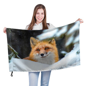 Флаг 3D с принтом Лисичка на сугробе в Новосибирске, 100% полиэстер | плотность ткани — 95 г/м2, размер — 67 х 109 см. Принт наносится с одной стороны | fox | foxy | животное | звери | лиса | лисенок | лисичка | милая | рыжая | фокс
