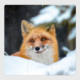 Магнитный плакат 3Х3 с принтом Лисичка на сугробе в Новосибирске, Полимерный материал с магнитным слоем | 9 деталей размером 9*9 см | Тематика изображения на принте: fox | foxy | животное | звери | лиса | лисенок | лисичка | милая | рыжая | фокс