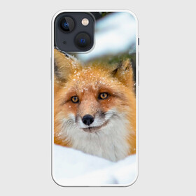 Чехол для iPhone 13 mini с принтом Лисичка на сугробе в Новосибирске,  |  | Тематика изображения на принте: fox | foxy | животное | звери | лиса | лисенок | лисичка | милая | рыжая | фокс