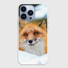 Чехол для iPhone 13 Pro с принтом Лисичка на сугробе в Новосибирске,  |  | fox | foxy | животное | звери | лиса | лисенок | лисичка | милая | рыжая | фокс