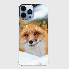 Чехол для iPhone 13 Pro Max с принтом Лисичка на сугробе в Новосибирске,  |  | fox | foxy | животное | звери | лиса | лисенок | лисичка | милая | рыжая | фокс