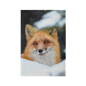 Обложка для паспорта матовая кожа с принтом Лисичка на сугробе в Новосибирске, натуральная матовая кожа | размер 19,3 х 13,7 см; прозрачные пластиковые крепления | fox | foxy | животное | звери | лиса | лисенок | лисичка | милая | рыжая | фокс