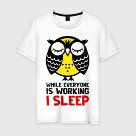 Мужская футболка хлопок с принтом Сова. Сплю, когда ты на работе в Новосибирске, 100% хлопок | прямой крой, круглый вырез горловины, длина до линии бедер, слегка спущенное плечо. | owl | owls | сова | совушка | совы | филин | фраза | юмор