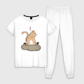 Женская пижама хлопок с принтом Кот в мешке в Новосибирске, 100% хлопок | брюки и футболка прямого кроя, без карманов, на брюках мягкая резинка на поясе и по низу штанин | cat | кот в мешке | кот из мема | рыжий котик | удивленный кошак