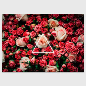 Поздравительная открытка с принтом ROSE NEON | РОЗЫ НЕОН в Новосибирске, 100% бумага | плотность бумаги 280 г/м2, матовая, на обратной стороне линовка и место для марки
 | rose | женская | любовь | молодежь | мужская | неон | розы | свобода