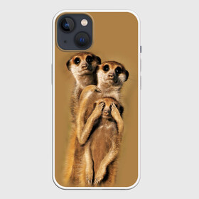 Чехол для iPhone 13 с принтом Сурикаты в Новосибирске,  |  | животные | прикол | прикольные животные | природа | смешные | смешные животные | сурикат