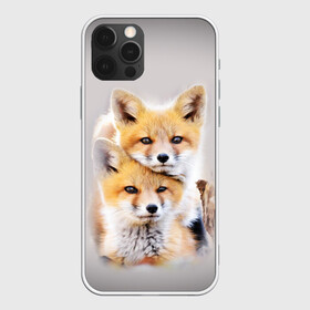 Чехол для iPhone 12 Pro Max с принтом Лисята в Новосибирске, Силикон |  | детеныши | животные | лиса | лисенок | лисичка | лисята | природа | рыжая