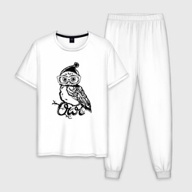 Мужская пижама хлопок с принтом Совушка на ветке в Новосибирске, 100% хлопок | брюки и футболка прямого кроя, без карманов, на брюках мягкая резинка на поясе и по низу штанин
 | Тематика изображения на принте: owl | owls | сова | совушка | совы | филин | фраза | юмор
