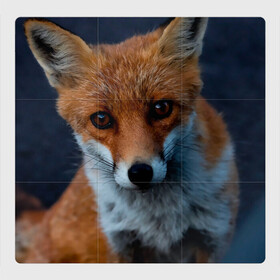Магнитный плакат 3Х3 с принтом Мудрая лиса в Новосибирске, Полимерный материал с магнитным слоем | 9 деталей размером 9*9 см | Тематика изображения на принте: fox | foxy | животное | звери | лиса | лисенок | лисичка | милая | рыжая | фокс