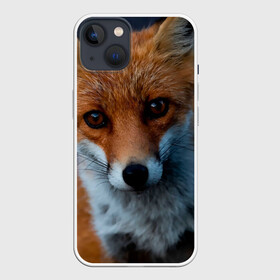 Чехол для iPhone 13 с принтом Мудрая лиса в Новосибирске,  |  | fox | foxy | животное | звери | лиса | лисенок | лисичка | милая | рыжая | фокс