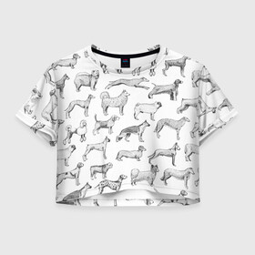 Женская футболка Crop-top 3D с принтом ПОРОДЫ СОБАК С ФОТОГРАФИЯМИ в Новосибирске, 100% полиэстер | круглая горловина, длина футболки до линии талии, рукава с отворотами | бассет | бигль | боксер | борзая | бульдог | далматинец | доберман | дог | колли | лабрадор | милая собака | милые собаки | мопс | овчарка | папийон | пекинес | порода | пудель | сеттер | собака | собаки
