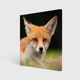 Холст квадратный с принтом Мордочка лисицы в Новосибирске, 100% ПВХ |  | fox | foxy | животное | звери | лиса | лисенок | лисичка | милая | рыжая | фокс