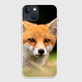 Чехол для iPhone 13 с принтом Мордочка лисицы в Новосибирске,  |  | fox | foxy | животное | звери | лиса | лисенок | лисичка | милая | рыжая | фокс