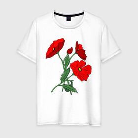Мужская футболка хлопок с принтом Букет маковых цветов в Новосибирске, 100% хлопок | прямой крой, круглый вырез горловины, длина до линии бедер, слегка спущенное плечо. | Тематика изображения на принте: flowers | nature | poppies | алые | арт | букет | бутоны | весна | ветки | зелень | красные маки | красные цветы | лепестки | лето | листья | любовь | маки | подарок | полевые цветы | природа | растения | рисунок | сад