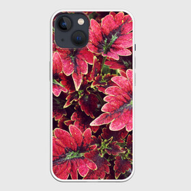 Чехол для iPhone 13 с принтом Красные листья в Новосибирске,  |  | алый | красные листья | листопад | листья | осень | пурпурный | растение | текстуры | узор | экзотически растения
