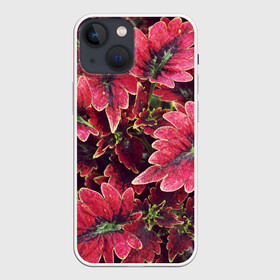 Чехол для iPhone 13 mini с принтом Красные листья в Новосибирске,  |  | алый | красные листья | листопад | листья | осень | пурпурный | растение | текстуры | узор | экзотически растения