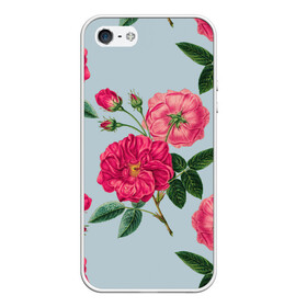 Чехол для iPhone 5/5S матовый с принтом Чайная роза в Новосибирске, Силикон | Область печати: задняя сторона чехла, без боковых панелей | арт | пион | пионы | поле | поле цветов | рисунок | роза | розовая роза | розовые розы | розовые цветы | розовый цветок | розы | цветок | цветы | чайная роза