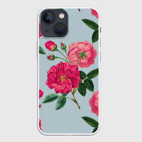 Чехол для iPhone 13 mini с принтом Чайная роза в Новосибирске,  |  | арт | пион | пионы | поле | поле цветов | рисунок | роза | розовая роза | розовые розы | розовые цветы | розовый цветок | розы | цветок | цветы | чайная роза