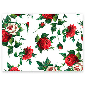 Поздравительная открытка с принтом Розы в Новосибирске, 100% бумага | плотность бумаги 280 г/м2, матовая, на обратной стороне линовка и место для марки
 | арт | белая роза | белые розы | белые цветы | белый цветок | большие цветы | большой цветок | красная роза | красные розы | красные цветы | красный цветок | поле | поле цветов | рисунок | роза | розы