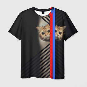 Мужская футболка 3D с принтом Кот в Новосибирске, 100% полиэфир | прямой крой, круглый вырез горловины, длина до линии бедер | большие глаза | котик | милый | усатый