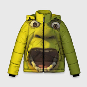 Зимняя куртка для мальчиков 3D с принтом Shrek Шрек в Новосибирске, ткань верха — 100% полиэстер; подклад — 100% полиэстер, утеплитель — 100% полиэстер | длина ниже бедра, удлиненная спинка, воротник стойка и отстегивающийся капюшон. Есть боковые карманы с листочкой на кнопках, утяжки по низу изделия и внутренний карман на молнии. 

Предусмотрены светоотражающий принт на спинке, радужный светоотражающий элемент на пуллере молнии и на резинке для утяжки | Тематика изображения на принте: 20 | 4к | boots | cat | donkey | fiona | green | in | me | meme | memes | once | shrek | somebody | told | в | зеленый | кот | лет | мем | мемы | мульт | мультфильм | огр | огры | осел | сапогах | фиона | шрек